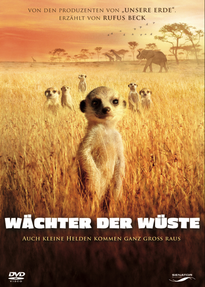 Poster Bild