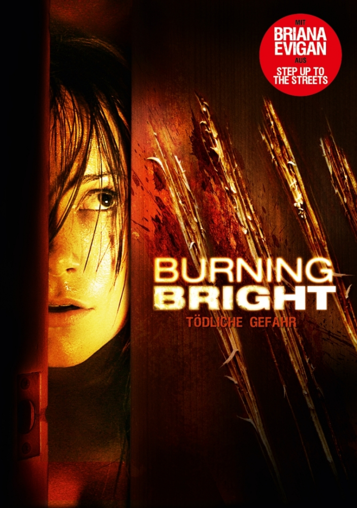 Poster Bild
