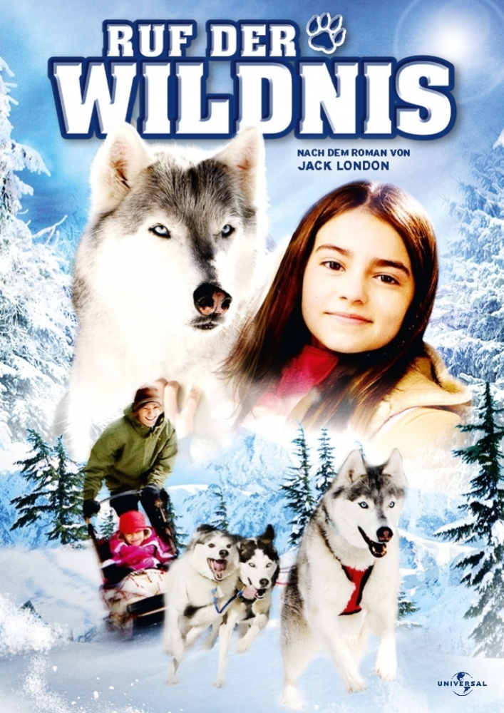 Poster Bild